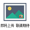 5DSY-2.5手提式電動(dòng)試壓泵定制